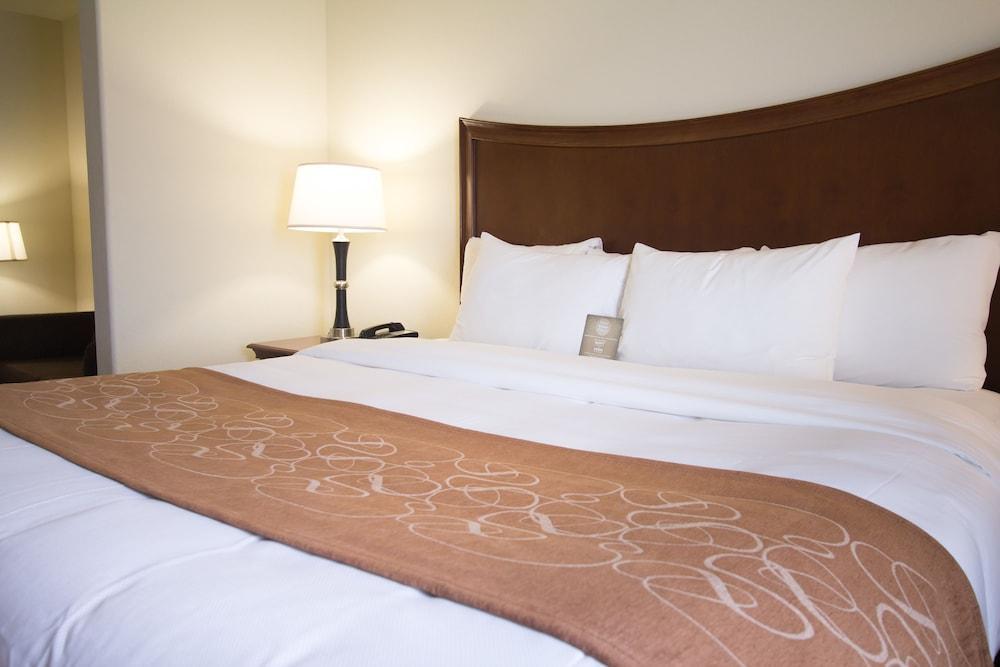 Comfort Suites San Antonio North - Stone Oak Exterior foto